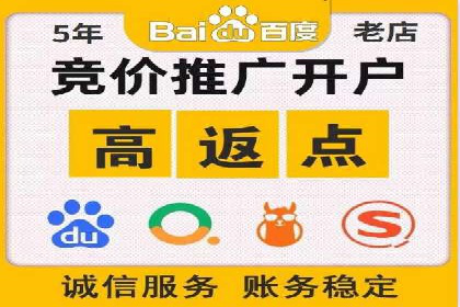 某企业SEM广告投放的转化率提升秘诀